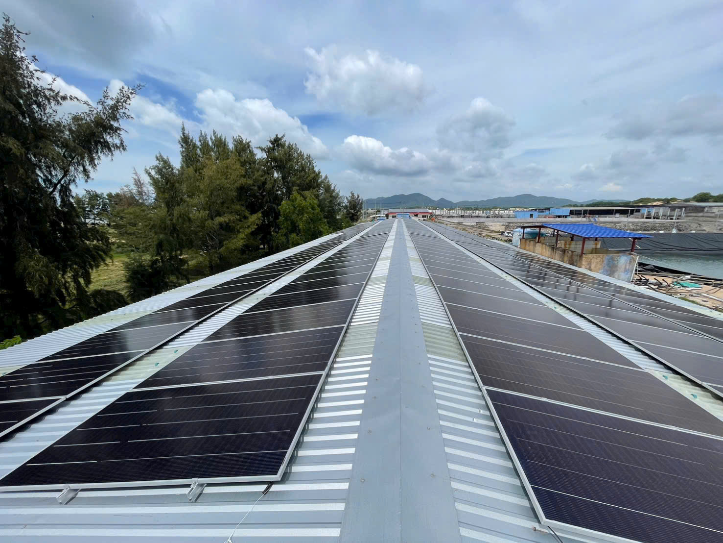 Dự Án Điện Mặt Trời Trại Cá Phước Hải 330 kWp – Bà Rịa – Vũng Tàu